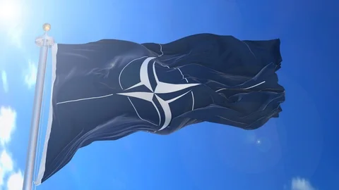 NATO animated flag pack in 3D and isolated background Stock Footage 119929753