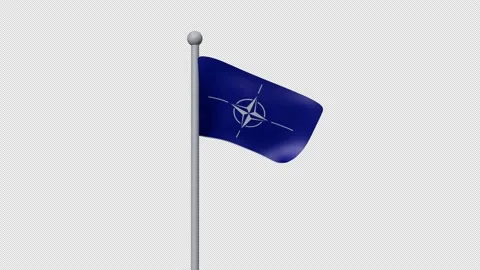 Nato flag alpha Stock Footage 178945108