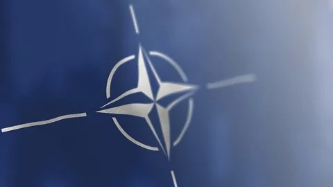 NATO flag animated 스톡 동영상 80597644