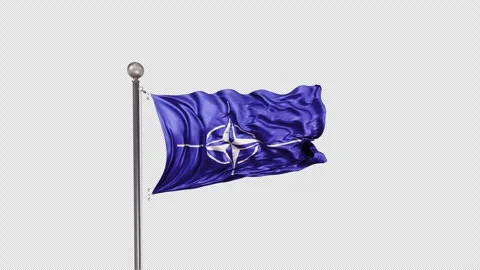 Nato Flag  Animation Loop Include Alpha 3D Rendering Stock Footage 283046308