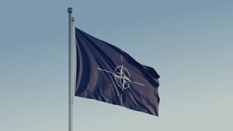 Nato Flag: Cinematic Loopable Motion with Blue Sky in 4K ProRes 422 HQ 스톡 동영상 269068097