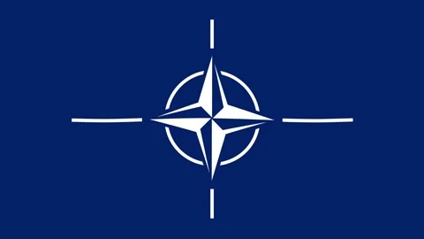 NATO Flag Composition - loopable animation Stock-Footage 170332033