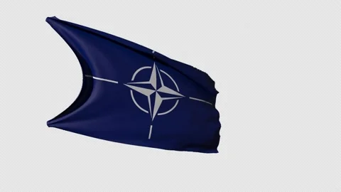 Nato Flag Stock Footage 209781537
