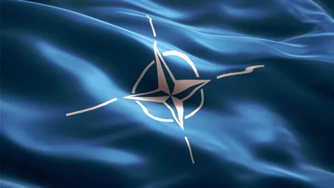 NATO Flag Stock Footage 235854632