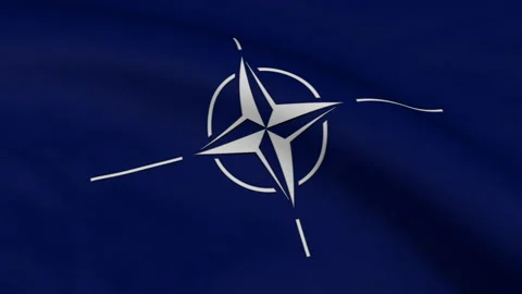 NATO Flag Loop Stock Footage 241275488
