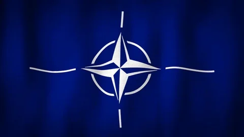 NATO flag waving in the wind Stock-Footage 102467829