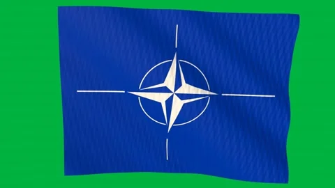 NATO flag waving in the wind on a green screen Stock Footage 343646684