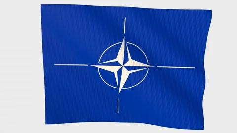 NATO flag waving in the wind on a grey background Stock-Footage 343646120