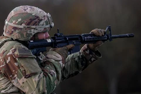 NATO military training 'Project Flytrap 4.5', Oldenburg In Holstein, Germany - 2 Foto stock