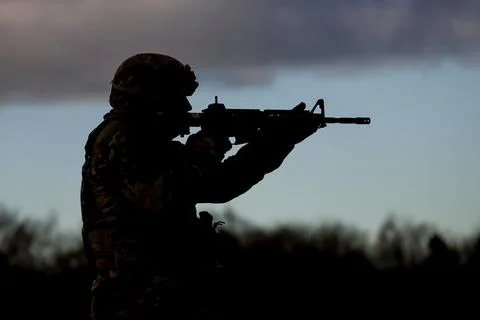 NATO military training 'Project Flytrap 4.5', Oldenburg In Holstein, Germany - 2 Foto stock