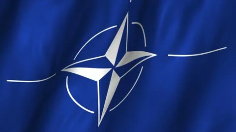 Nato Waving Flag Stock Footage 12313808