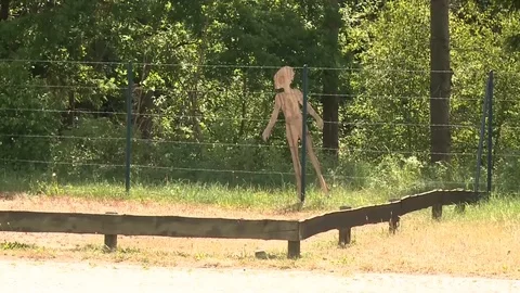 NATO’s Rapid Response Forces during Exercise Noble Jump - 2015 Stock Footage 97644206