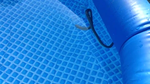 Natrix ringed water snake swims in the Clear water of Blue Swimming Pool 2 Stock Footage 149874855