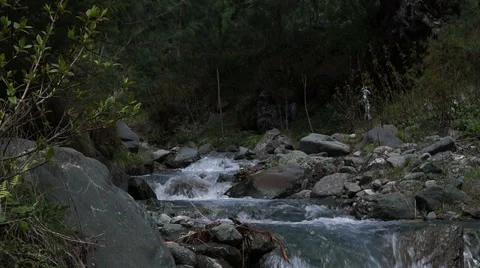 Natrural Lake in forest Stock Footage 50095421