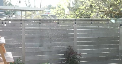 Nats flying outside in the back yard on a hot summer day Stock Footage 306624231