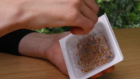 NATTO (fermented soybeans) Stock Footage 251131055