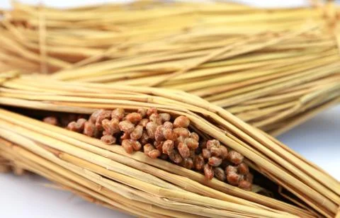 Natto wrapeed with straw Stock Photos