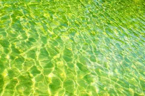 In   natual  pool Stock-Fotos