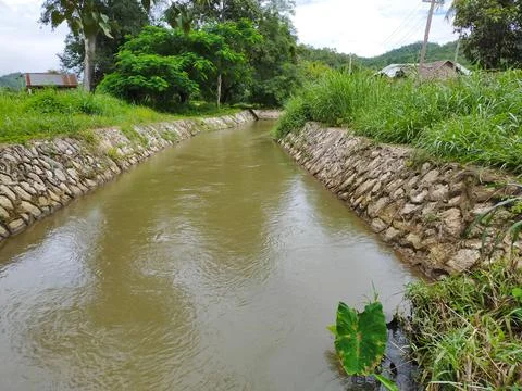 The natual of the river Stock Photos