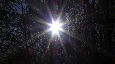 Natur 動画素材 82345589