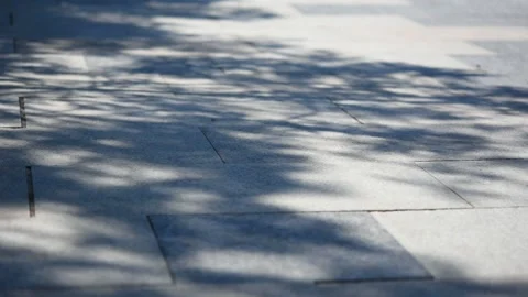 Natural abstract background of gray tree crown shadows on gray granite tiles. Vídeos de archivo 154333712