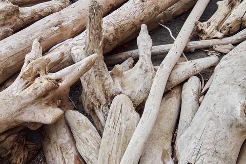 Natural abstract background, nature pattern. Smooth logs carried by wave Foto stock
