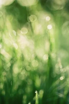 Natural abstract background Stock-Fotos