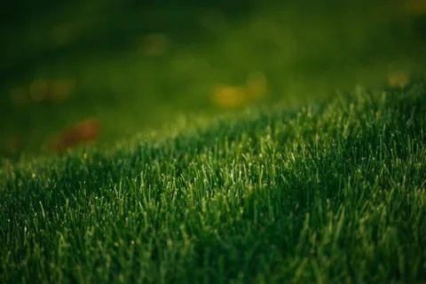 Natural abstract background Stock-Fotos