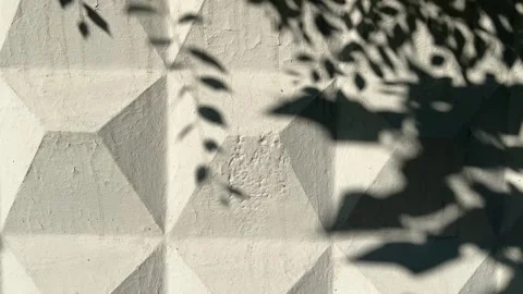 Natural abstract background of stone wall with shadows of branches. Stock Footage 344974445