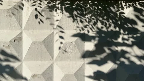 Natural abstract background of stone wall with shadows of branches. Stock Footage 344974564