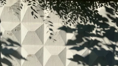 Natural abstract background of stone wall with shadows of branches. Stock Footage 344974623