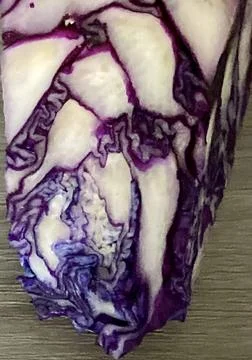 Natural abstract pattern of red cabbage leaves Stock Photos