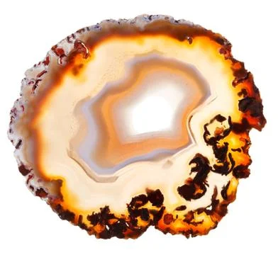 Natural agate slice Stock Photos