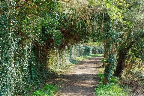 Natural arch over a path Stock Photos