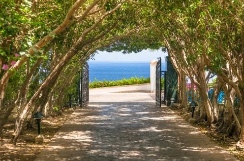 Natural arch of trees with access to seafront Stock Photos