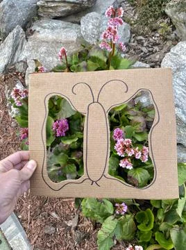Natural art frame, Spring active idea, Kids craft Stock Photos