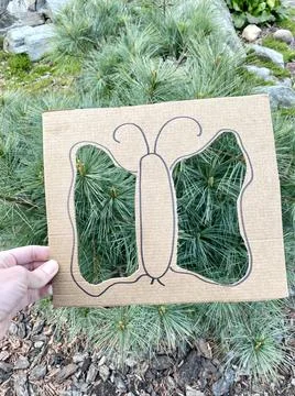 Natural art frame, Spring active idea, Kids craft Stock Photos