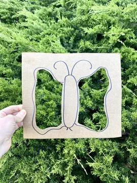Natural art frame, Spring active idea, Kids craft Stock Photos