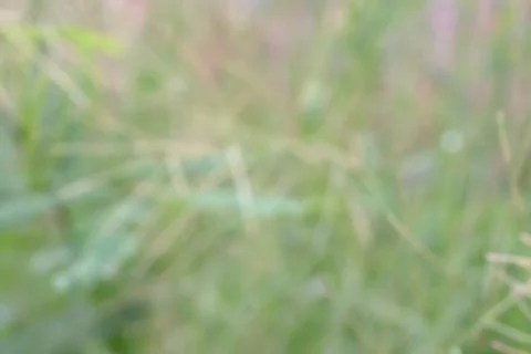 Natural background and texture Foto stock