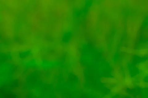 Natural background and texture Stock Photos