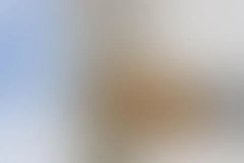 Natural background blur Stock Photos