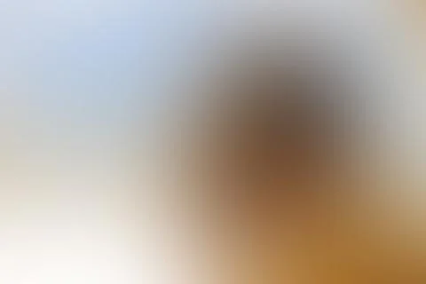 Natural background blur Stock Photos