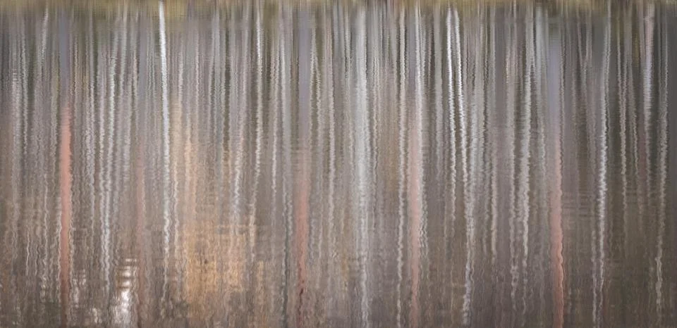 Natural background, blurred reflection of trees in water Stock Photos