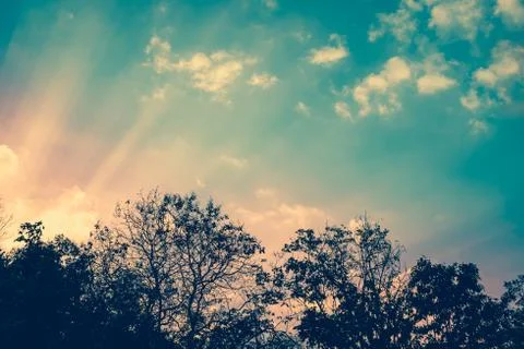 Natural background blurring with sun rays. Outdoors. Foto stock