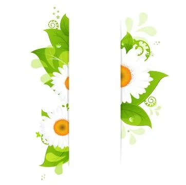 Natural background with camomiles Stock Illustration
