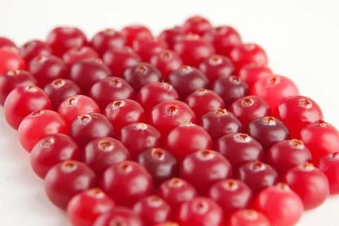 Natural background of cranberries Stock Photos