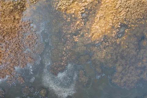 Natural background created by structure of marsh from directly above Stock Photos
