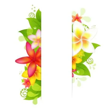 Natural background with flower Stock Illustration