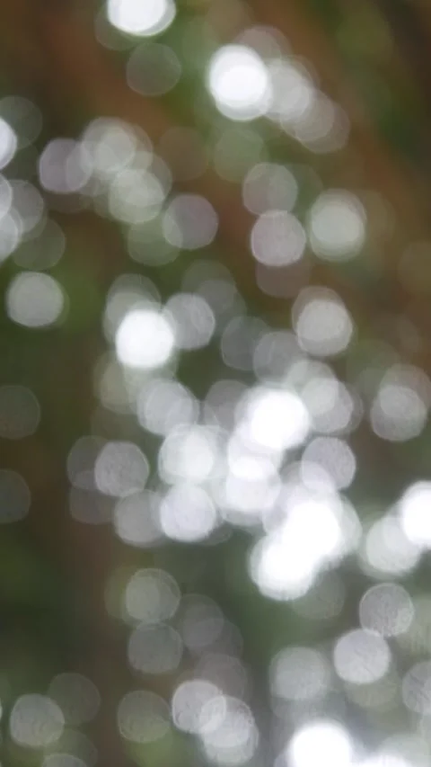 Natural background with green trees that appear softly blurred. Natural bokeh Stock Footage 321980219