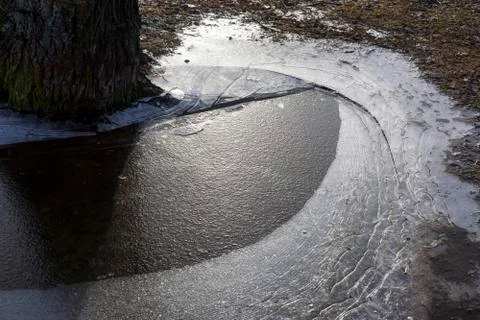 Natural background of ice bound in a puddle near poplar trunk Stock-Fotos